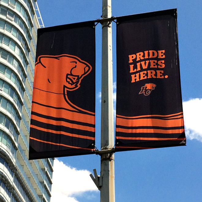 BCLions_Banners_1