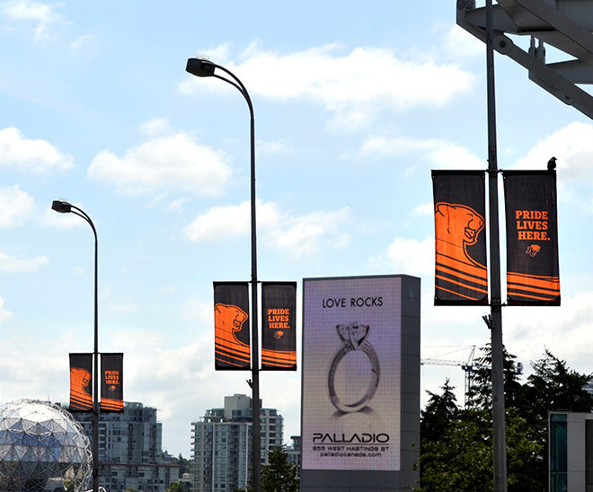 BCLions_Banners_3