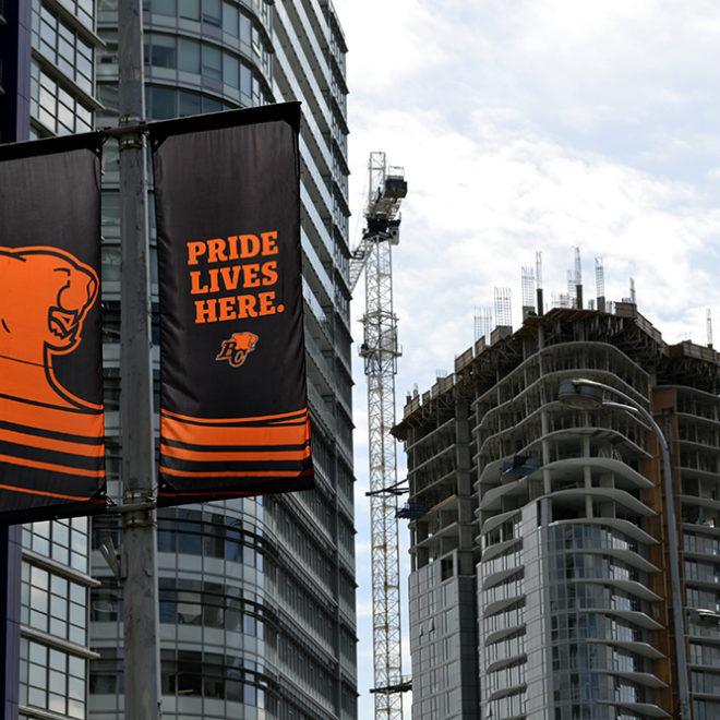 BCLions_Banners_4
