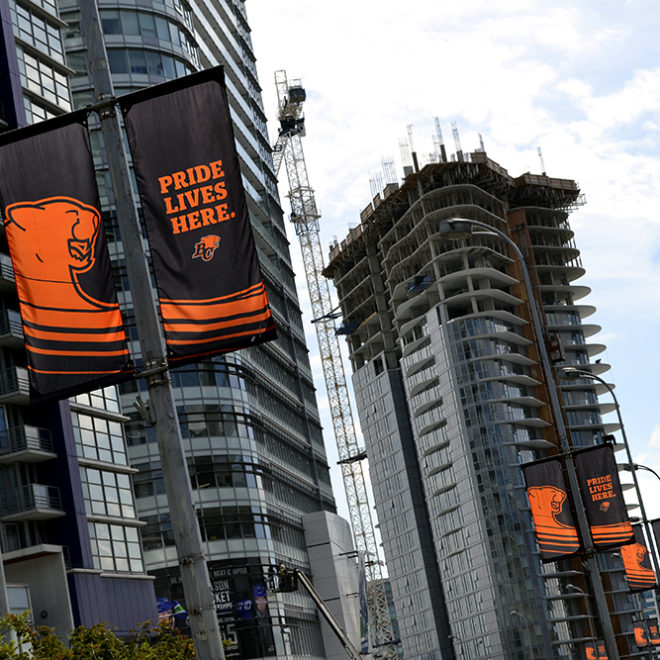 BCLions_Banners_5