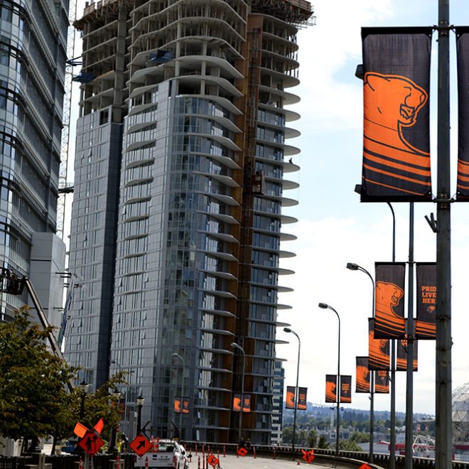 BCLions_Banners_6