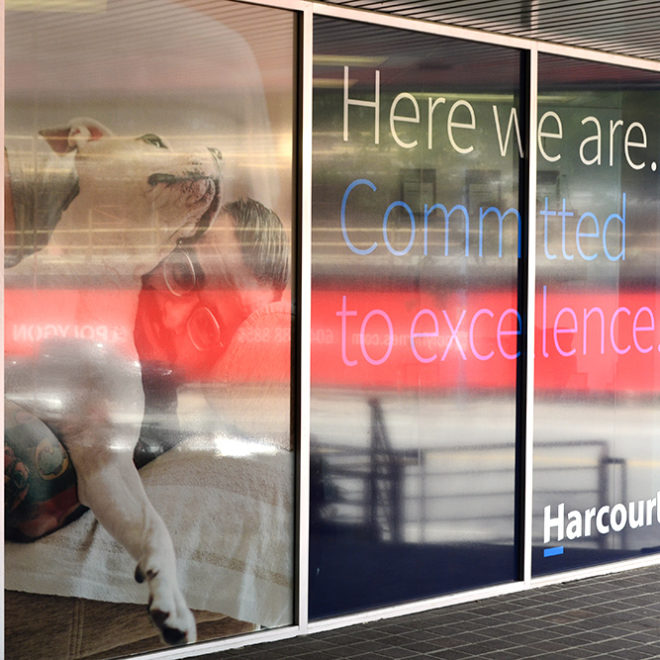 Harcourts Window Graphics