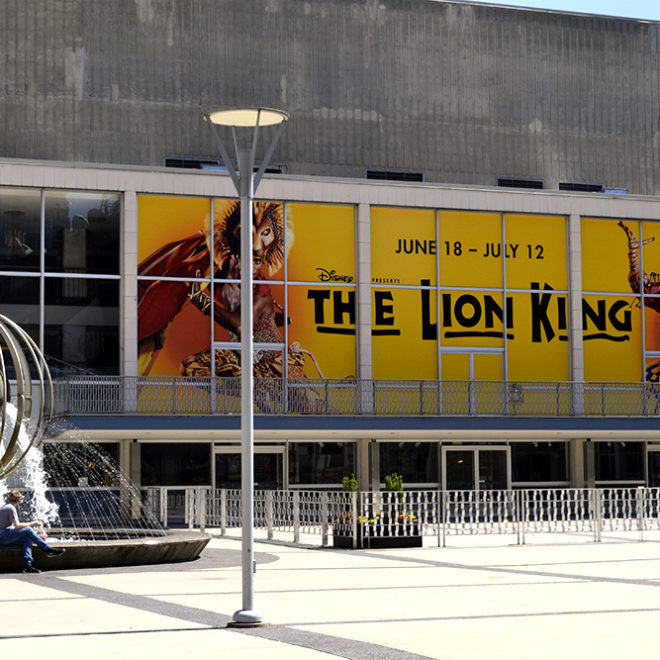 Lion King Window Graphic 2015